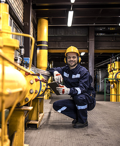 Servicios Industriales